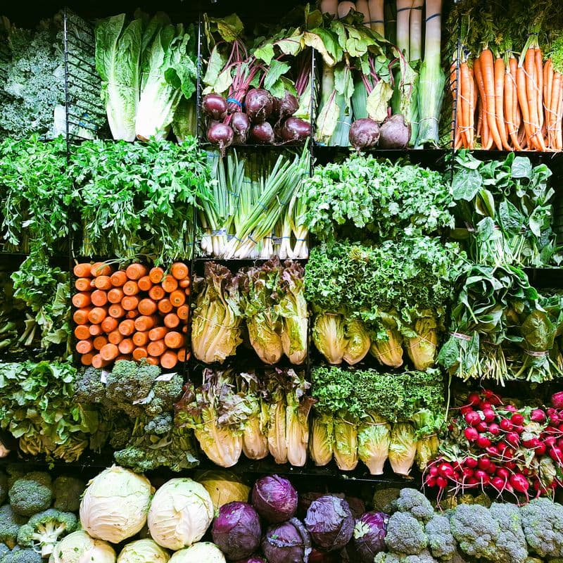How SCOPE-Certified Obesity Medicine Is Different From a Diet Plan